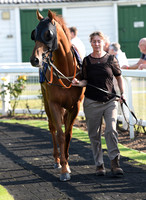 Gt_Yarm_4th_Aug_2021-4