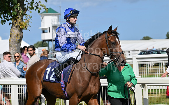 Gt_Yarm_25_Aug_Family_Raceday_2024-55