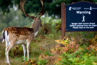 LBP_Champion_Day1_Club_Knole-1