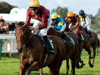 LB_GY_races_10_10_2016_0117
