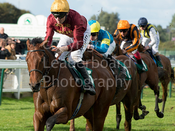 LB_GY_races_10_10_2016_0117