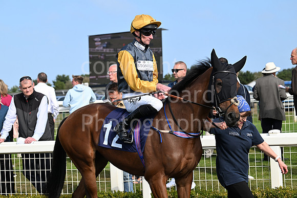 Gt_Yarm_Eastern_Fest_18_Sept_2024-59