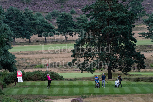 LBP_0546