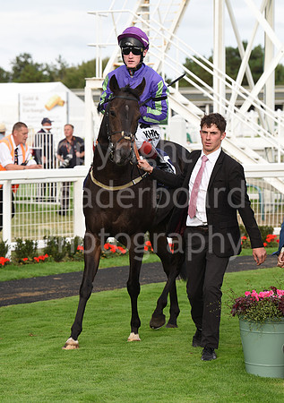 Gt_Yarm_Races_13_Sept8-232