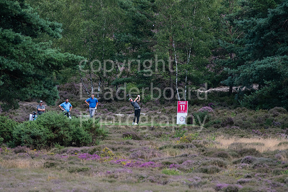 LBP_1176