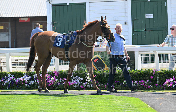 Gt_Yarm_15_Aug_2025-26