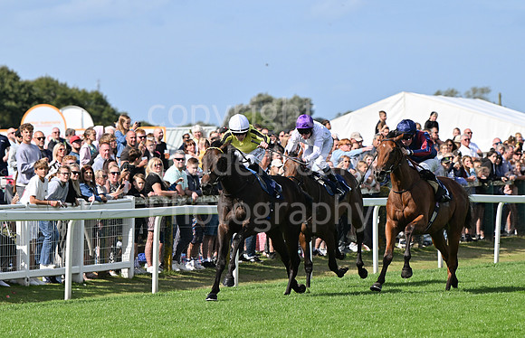Gt_Yarm_25_Aug_Family_Raceday_2024-64