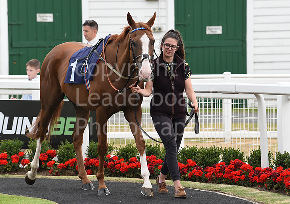 Gt_Yarm_26_July_2022-130