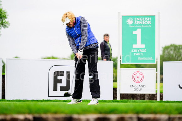 NZ9_0652