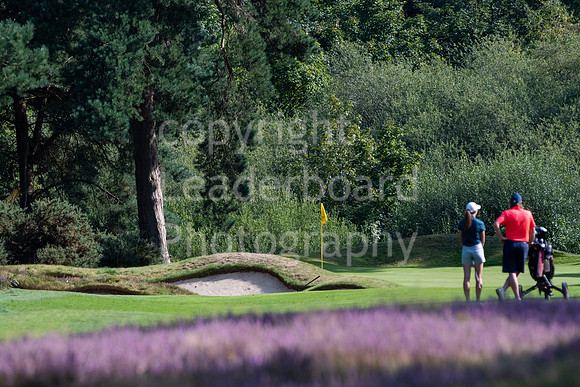 LBP_0955