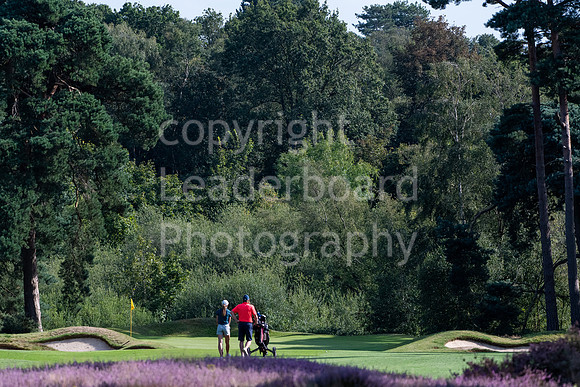 LBP_0956
