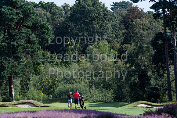 LBP_0957