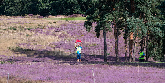 LBP_0958