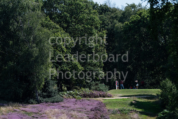 LBP_2004
