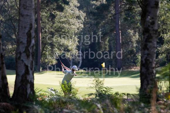 LBP_2491