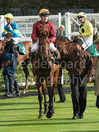 LB_GY_races_10_10_2016_0122