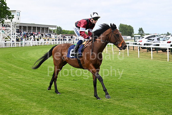 Gt_Yarm_May14_2025-161