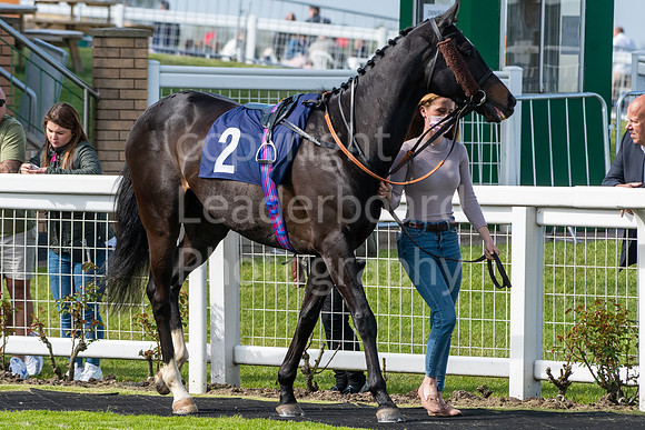 LBP_5595
