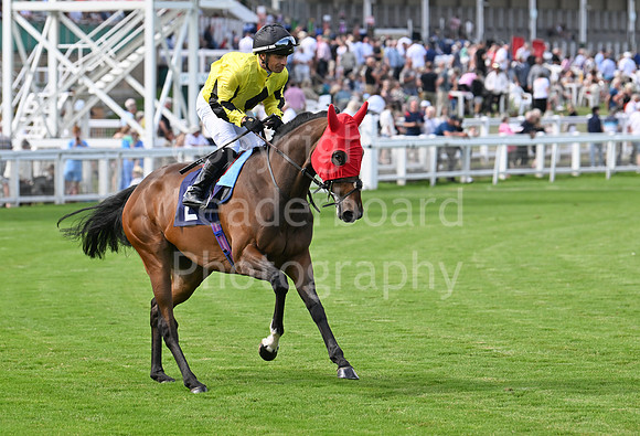 Gt_Yarm_Aug_8_2024-130