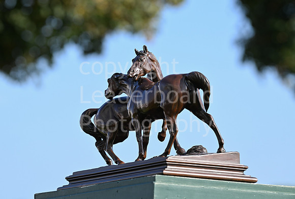 Gt_Yarm_Eastern_Fest_18_Sept_2024-123