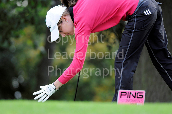 AJ_15_PING_PLATE_2009