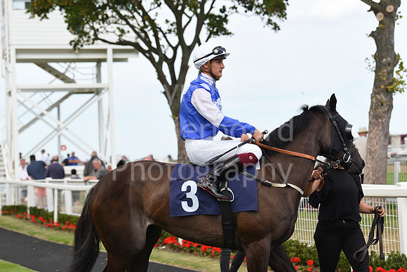 Gt_Yarm_4 Aug_2022-8