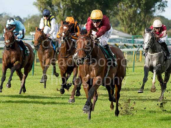 LB_GY_races_10_10_2016_0110