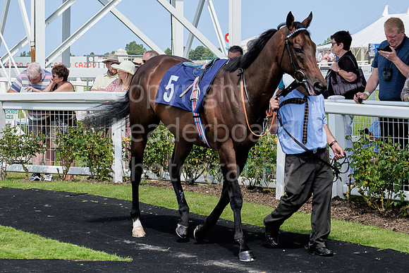Great Yarmouth  Race One 11th Aug 2021 0188