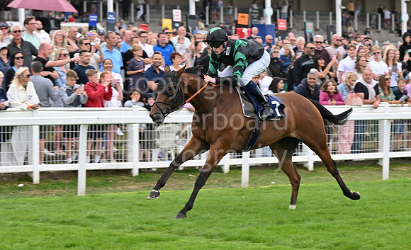 Gt_Yarm_25_Aug_Family_Raceday_2024-247