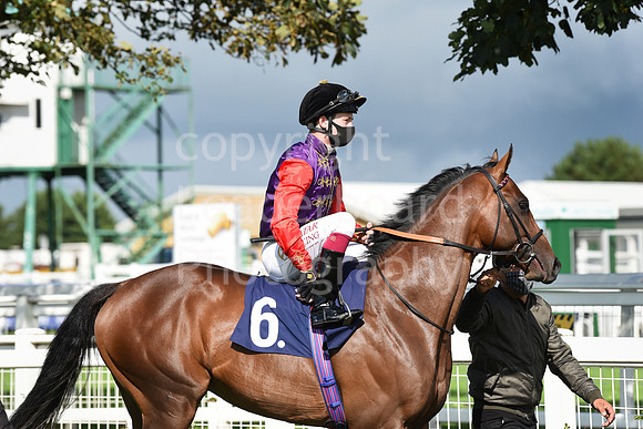 Gt_Yarmouth_Races_25Aug_-19