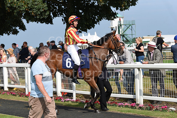 Gt_Yarm_Eastern_Fest_Day_3-7