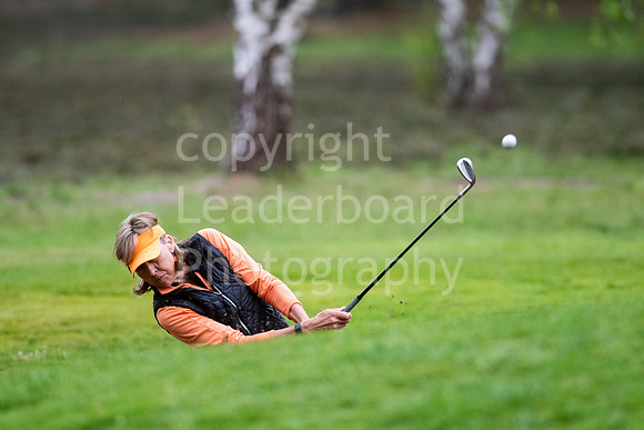 LBP_0790