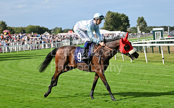 Gt_Yarm_25_Aug_Family_Raceday_2024-140