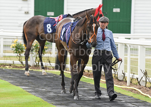 Gt_Yarm_27th_July_2021-4