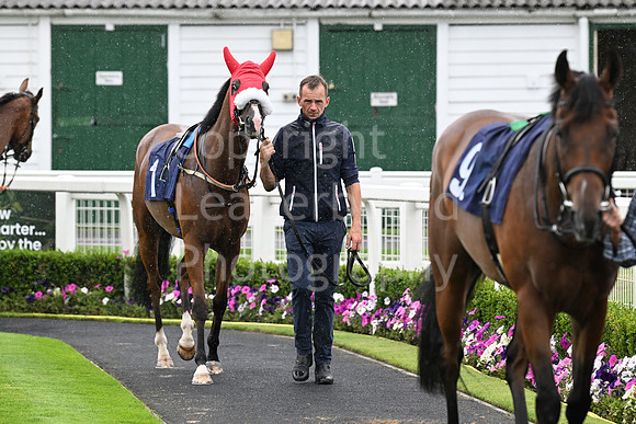 Gt_Yarm_3_Aug_2025-40