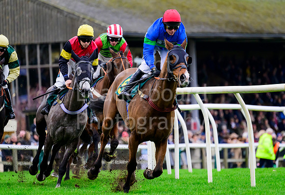 NJB_3514