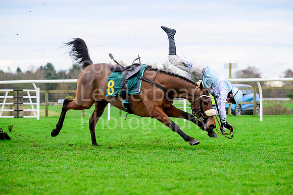 NJB_4391
