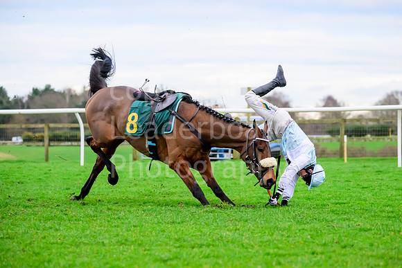NJB_4393
