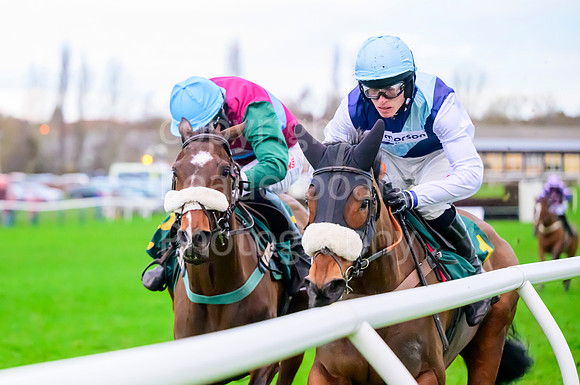 NJB_4696