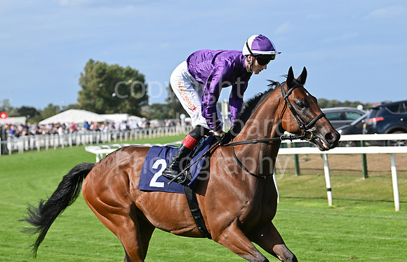 Gt_Yarm_25_Aug_Family_Raceday_2024-137