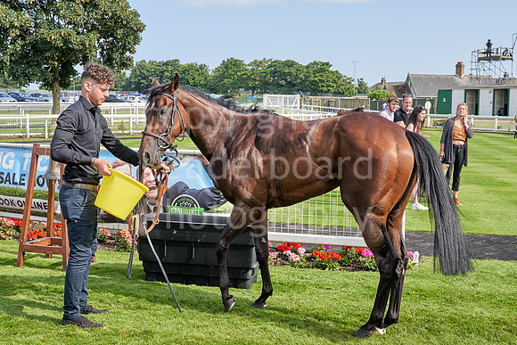 Great Yarmouth  Race Six 11th Aug 2021 0489