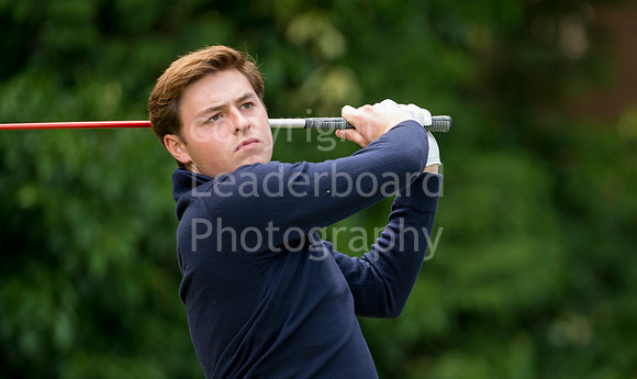 LB_Carris_2015_1501