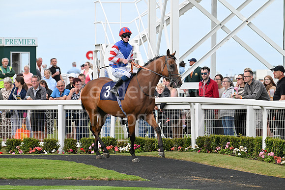 Gt_Yarm_25_Aug_Family_Raceday_2024-173