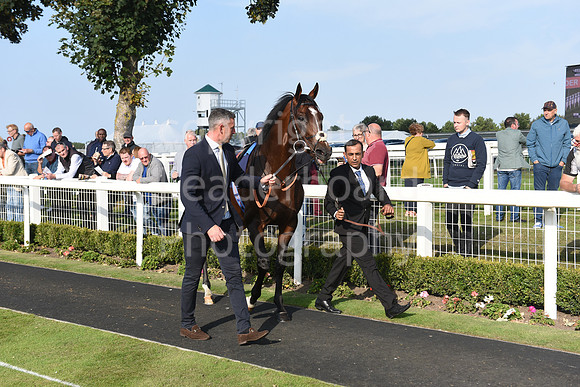 Gt_Yarm_Eastern_Fest_18_Sept_2024-188