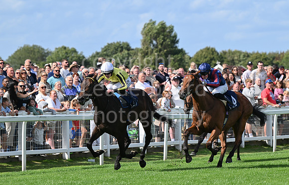 Gt_Yarm_25_Aug_Family_Raceday_2024-68