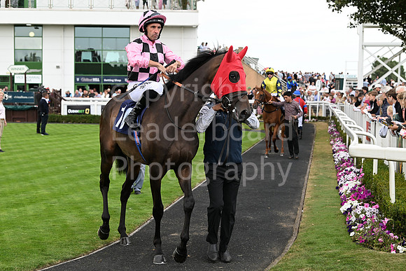 Gt_Yarm_24_Aug_2025-43