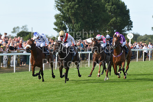 Gt_Yarm_Races_28_Aug_2022-153