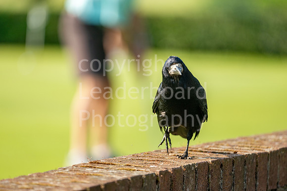 SAP_EDGA_Stoke_Nayland_2024-79