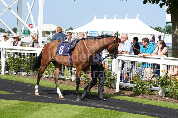 Great Yarmouth  Race Six 11th Aug 2021 0431