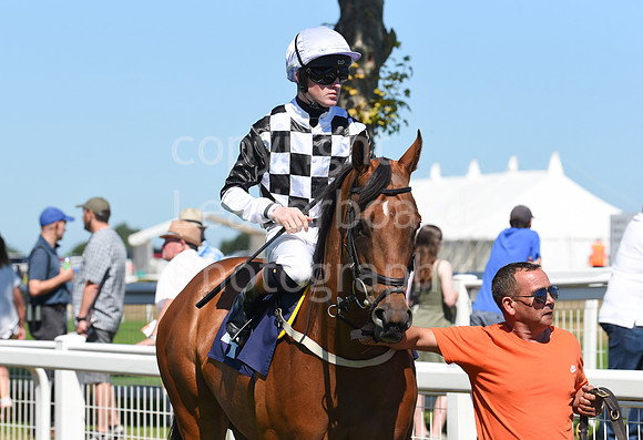 Gt_Yarm_Races_10_Aug_2022-7